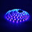 Kit ruban LED extérieur, RVB multicolore, 30leds/m, transfo inclus