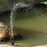 Kit pompe à eau solaire pour fontaine de bassin, étang, piscine, 1W
